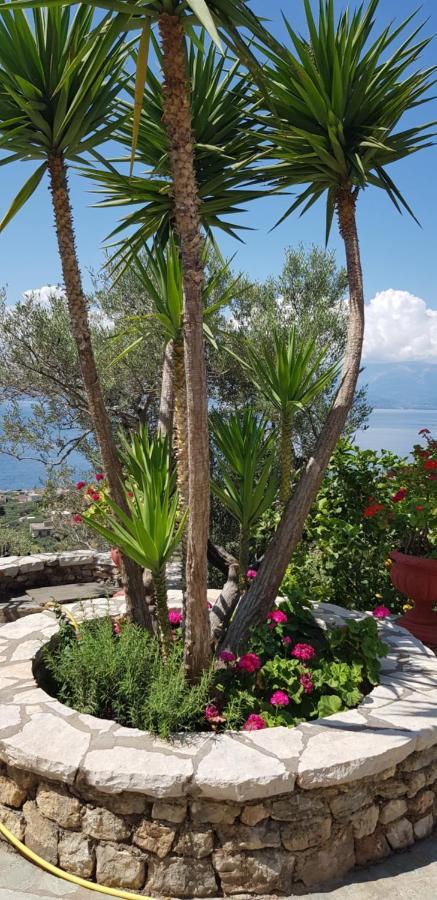 Margherita'S Holidays Home Agios Spyridon  Esterno foto